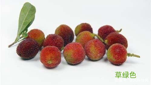 吃杨梅对身体有什么好处 吃杨梅的好处