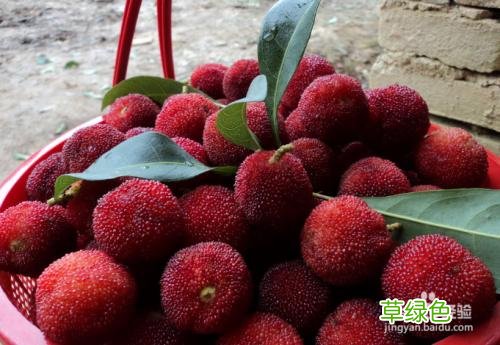 吃杨梅对身体有什么好处 吃杨梅的好处