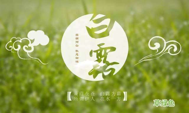 白露节气养生饮食牛肉的做法 白露节气养生
