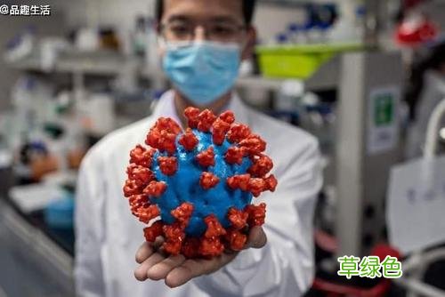 冠状病毒几天会死亡 冠状病毒几天会死