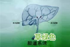 治疗肝内胆管结石哪个医院最好 肝胆管结石治疗