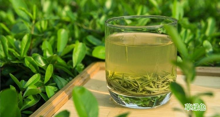 碧螺春茶叶介绍 碧螺春属于绿茶吗
