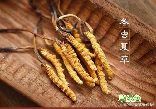 央视冬虫夏草广告视频 央视报道冬虫夏草
