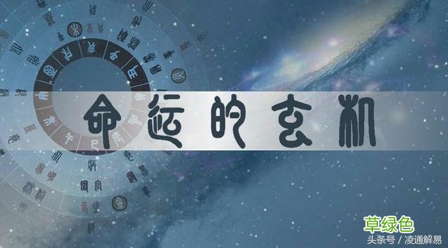凌通教你学命理之1：如何排八字 八字排盘怎么看