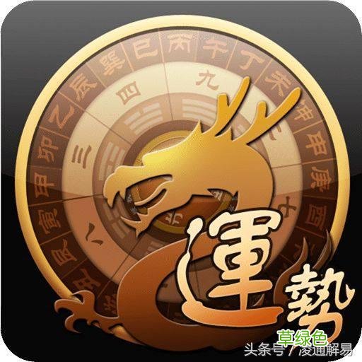 凌通教你学命理之1：如何排八字 八字排盘怎么看
