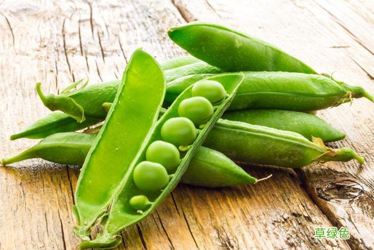 荷兰豆的营养价值是什么 荷兰豆的营养价值