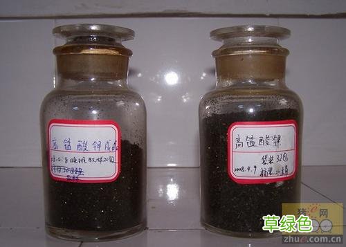 高锰酸钾的作用痔疮 高锰酸钾的作用