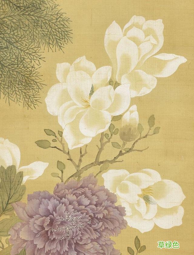 故宫花信｜玉兰：不随红紫逞鲜秾，偏留一种庄严相 均属什么字