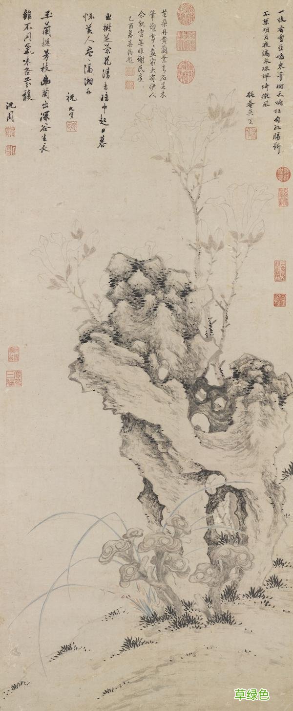 故宫花信｜玉兰：不随红紫逞鲜秾，偏留一种庄严相 均属什么字