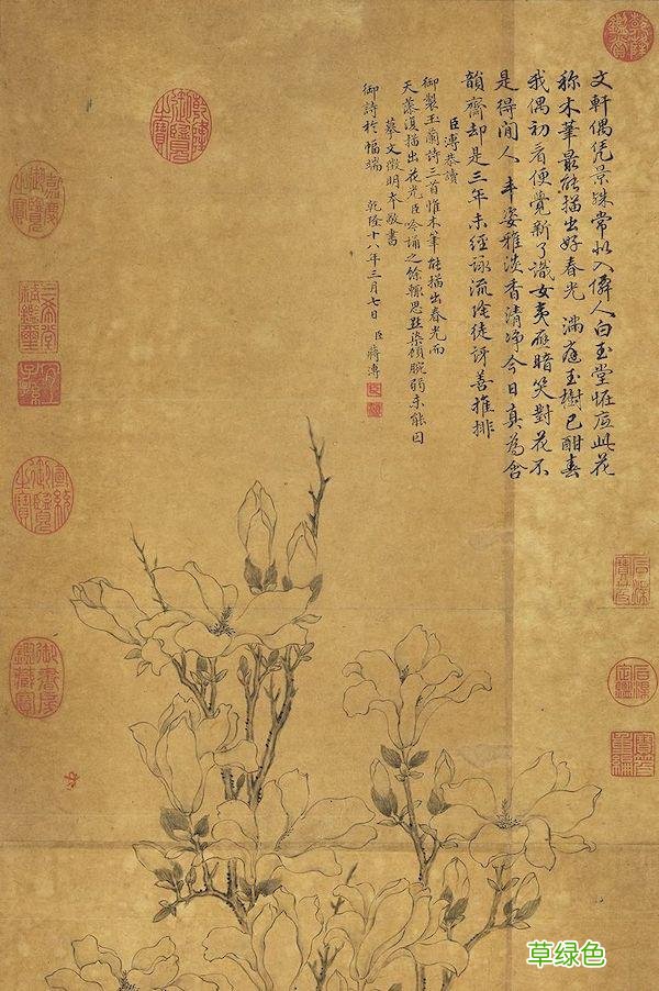 故宫花信｜玉兰：不随红紫逞鲜秾，偏留一种庄严相 均属什么字