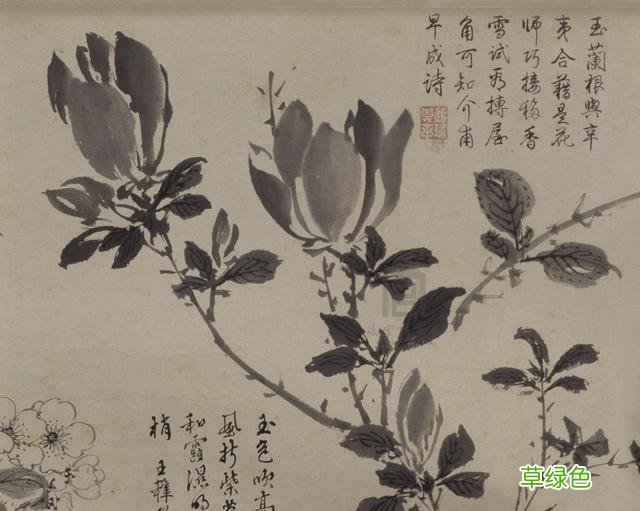 故宫花信｜玉兰：不随红紫逞鲜秾，偏留一种庄严相 均属什么字