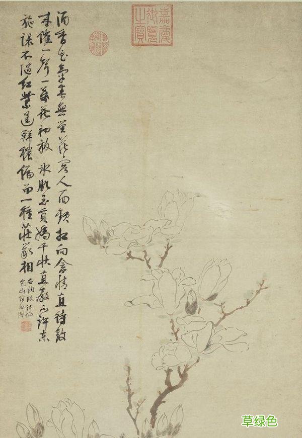 故宫花信｜玉兰：不随红紫逞鲜秾，偏留一种庄严相 均属什么字