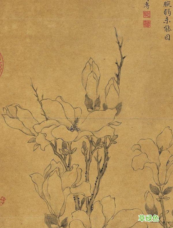 故宫花信｜玉兰：不随红紫逞鲜秾，偏留一种庄严相 均属什么字
