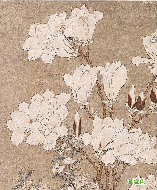 故宫花信｜玉兰：不随红紫逞鲜秾，偏留一种庄严相 均属什么字