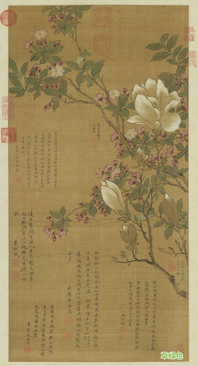 故宫花信｜玉兰：不随红紫逞鲜秾，偏留一种庄严相 均属什么字