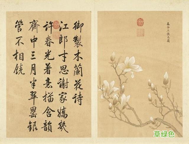 故宫花信｜玉兰：不随红紫逞鲜秾，偏留一种庄严相 均属什么字