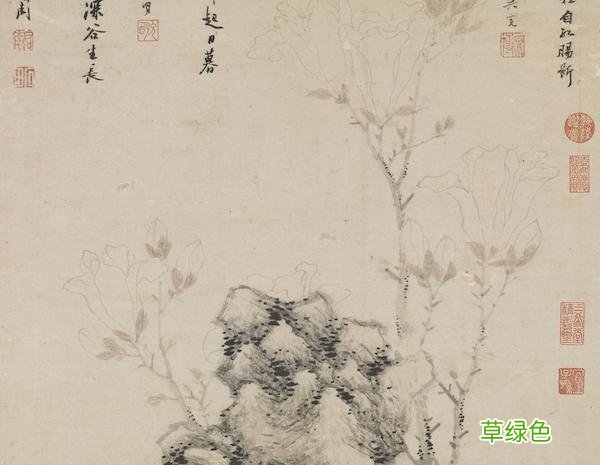 故宫花信｜玉兰：不随红紫逞鲜秾，偏留一种庄严相 均属什么字