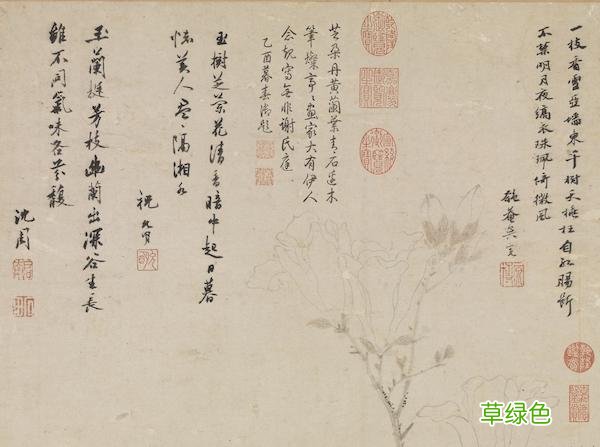 故宫花信｜玉兰：不随红紫逞鲜秾，偏留一种庄严相 均属什么字