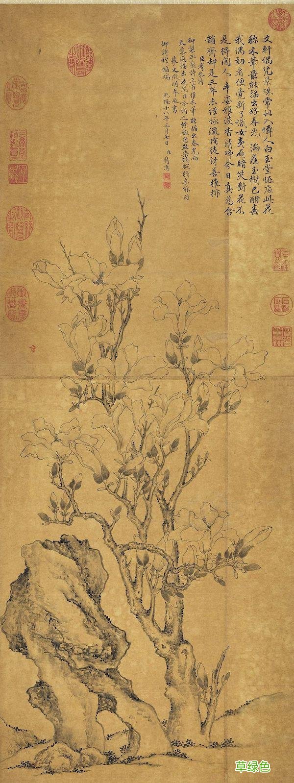 故宫花信｜玉兰：不随红紫逞鲜秾，偏留一种庄严相 均属什么字