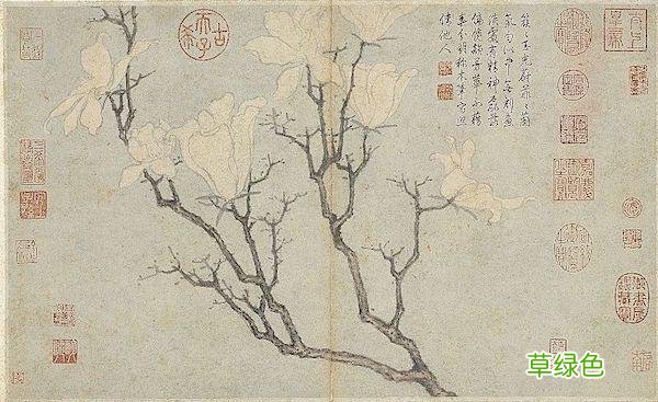 故宫花信｜玉兰：不随红紫逞鲜秾，偏留一种庄严相 均属什么字