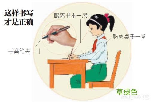从事书法教育，应该怎样教小学生写硬笔书法？ 城笔顺怎么写