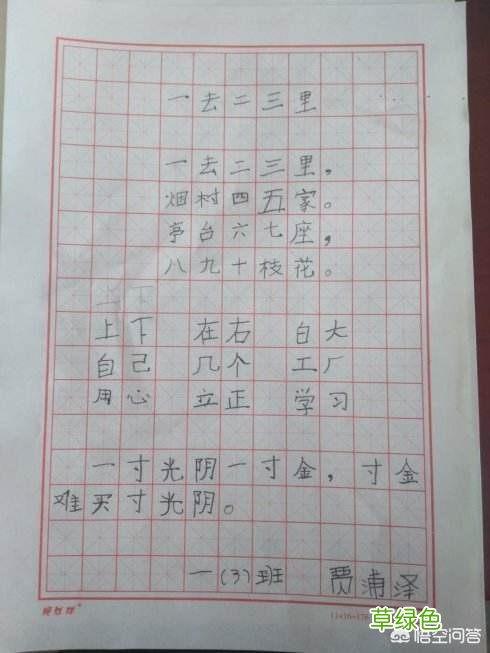 从事书法教育，应该怎样教小学生写硬笔书法？ 城笔顺怎么写