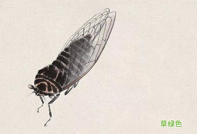 廿四节气 - 夏至 夏至是什么日