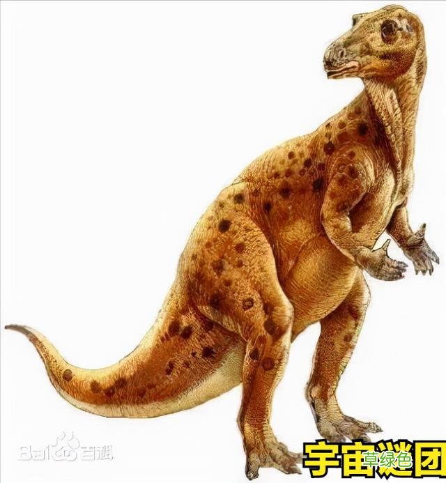 「恐龙」科普!下面这10种恐龙你能认完吗? 1 外国龙名字
