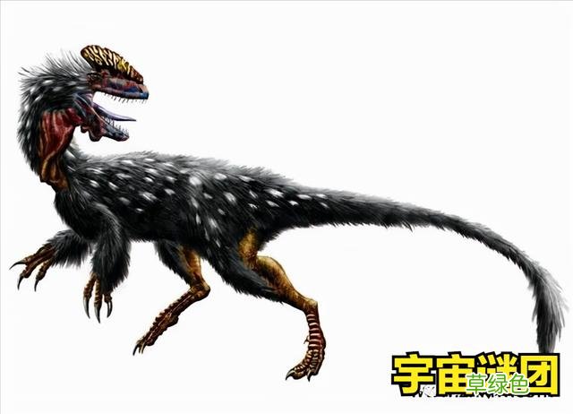 「恐龙」科普!下面这10种恐龙你能认完吗? 1 外国龙名字
