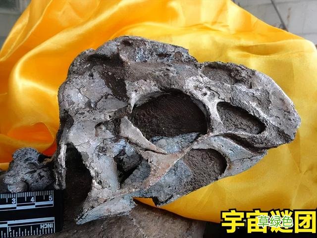「恐龙」科普!下面这10种恐龙你能认完吗? 1 外国龙名字