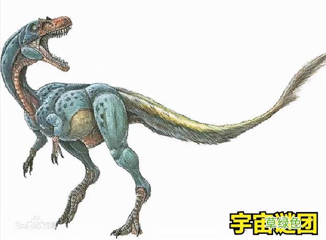 「恐龙」科普!下面这10种恐龙你能认完吗? 1 外国龙名字