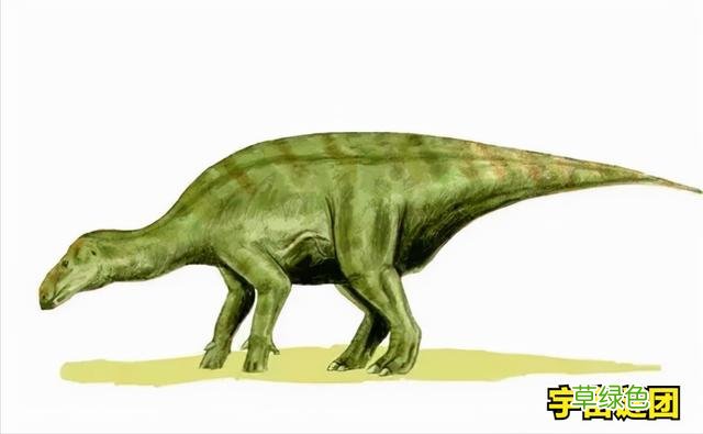 「恐龙」科普!下面这10种恐龙你能认完吗? 1 外国龙名字