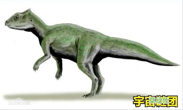「恐龙」科普!下面这10种恐龙你能认完吗? 1 外国龙名字