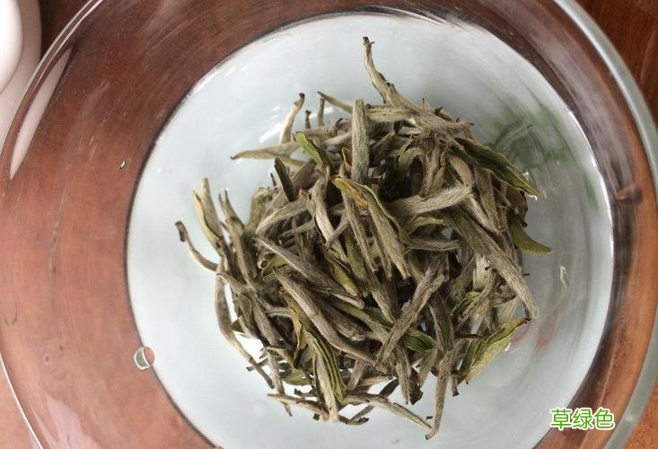 白毫银针品牌排行榜 白毫银针原产地