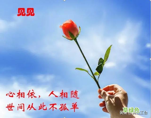在这个比较放开的时代，大家对倒追有什么看法，是支持还是否定？ 启帆名字怎么样