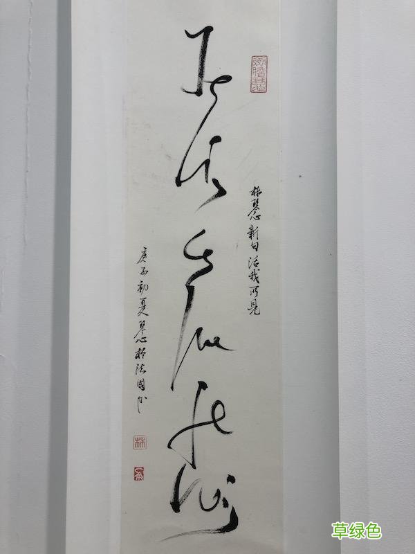 “庚子艺事展”：从尚长荣韩羽到九龄学生，以艺事记录疫事 嘉展名字