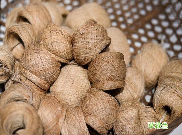 距今6000年前后，丝绸诞生于浙江省宁波市，商品名为“华夏” 堇五行属什么
