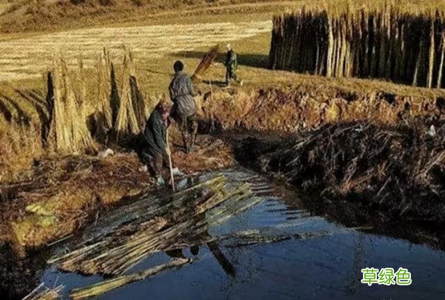 距今6000年前后，丝绸诞生于浙江省宁波市，商品名为“华夏” 堇五行属什么