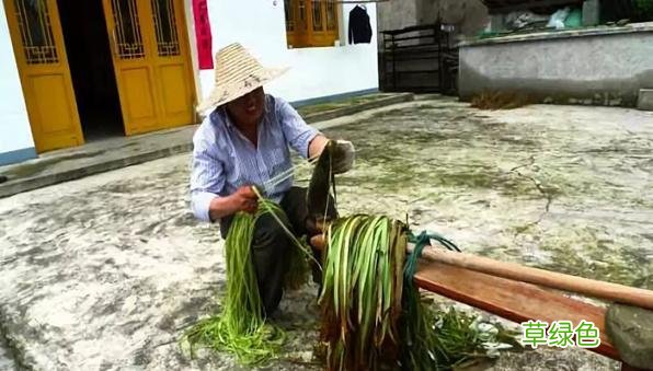 距今6000年前后，丝绸诞生于浙江省宁波市，商品名为“华夏” 堇五行属什么
