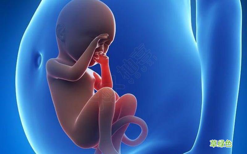 生化后容易怀孕吗能要这么急吗 生化后容易怀孕