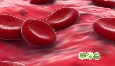 造血干细胞移植多少钱 什么是骨髓移植