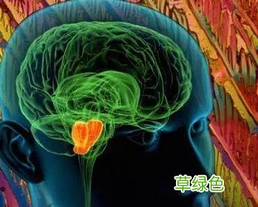 二手尼古丁的危害 尼古丁的危害