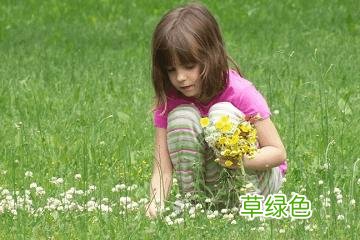 楚辞中好听的女孩名字全集 女孩名字荷