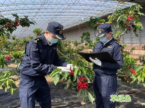 植物检疫的机构和人员具有权威性 植物检疫人员有前途吗