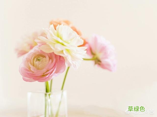 大家遇到的最好听印象最深的名字叫什么？ 好名字欣赏