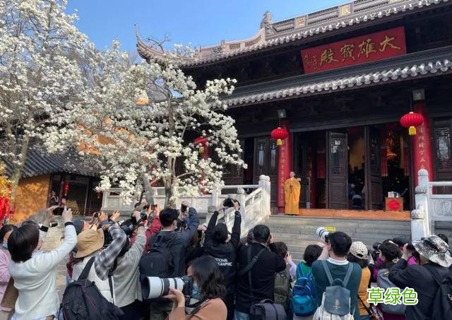 帅气和尚一夜之间火上热搜，网红连出家人都不放过？ 好听的微博名字
