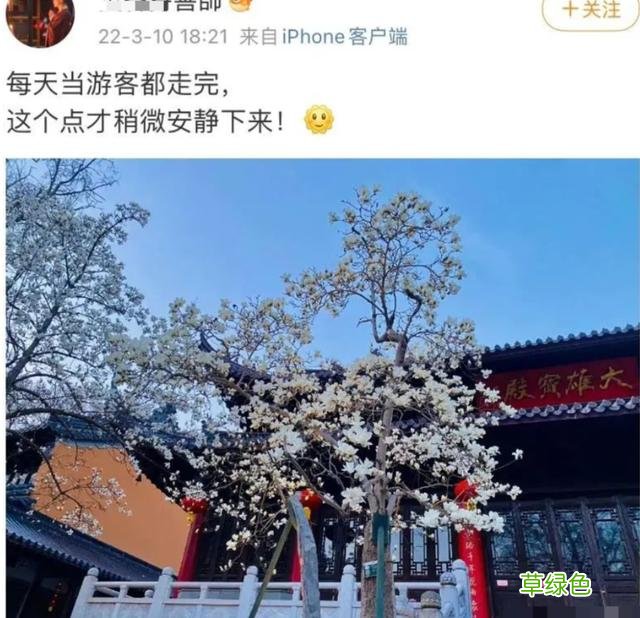 帅气和尚一夜之间火上热搜，网红连出家人都不放过？ 好听的微博名字