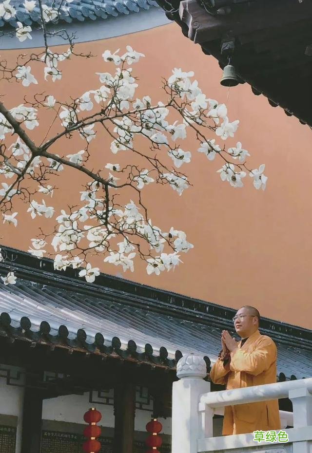 帅气和尚一夜之间火上热搜，网红连出家人都不放过？ 好听的微博名字