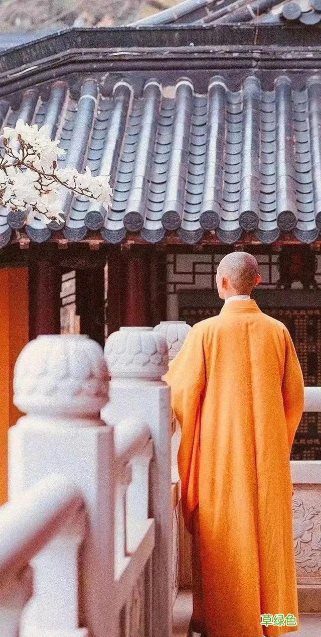 帅气和尚一夜之间火上热搜，网红连出家人都不放过？ 好听的微博名字