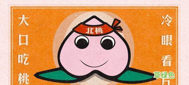 什么是生殖器疱疹